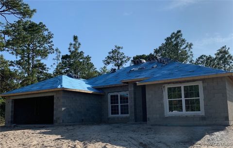 9016 N Lansen Way Citrus Springs FL 34433