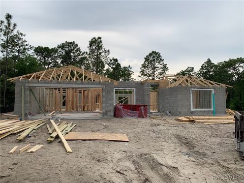 9016 N Lansen Way Citrus Springs FL 34433