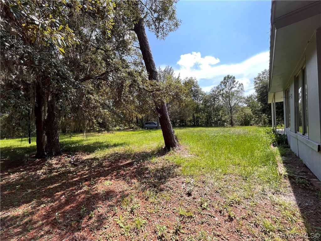 8725 W Orangetree Street, Crystal River, Florida image 9