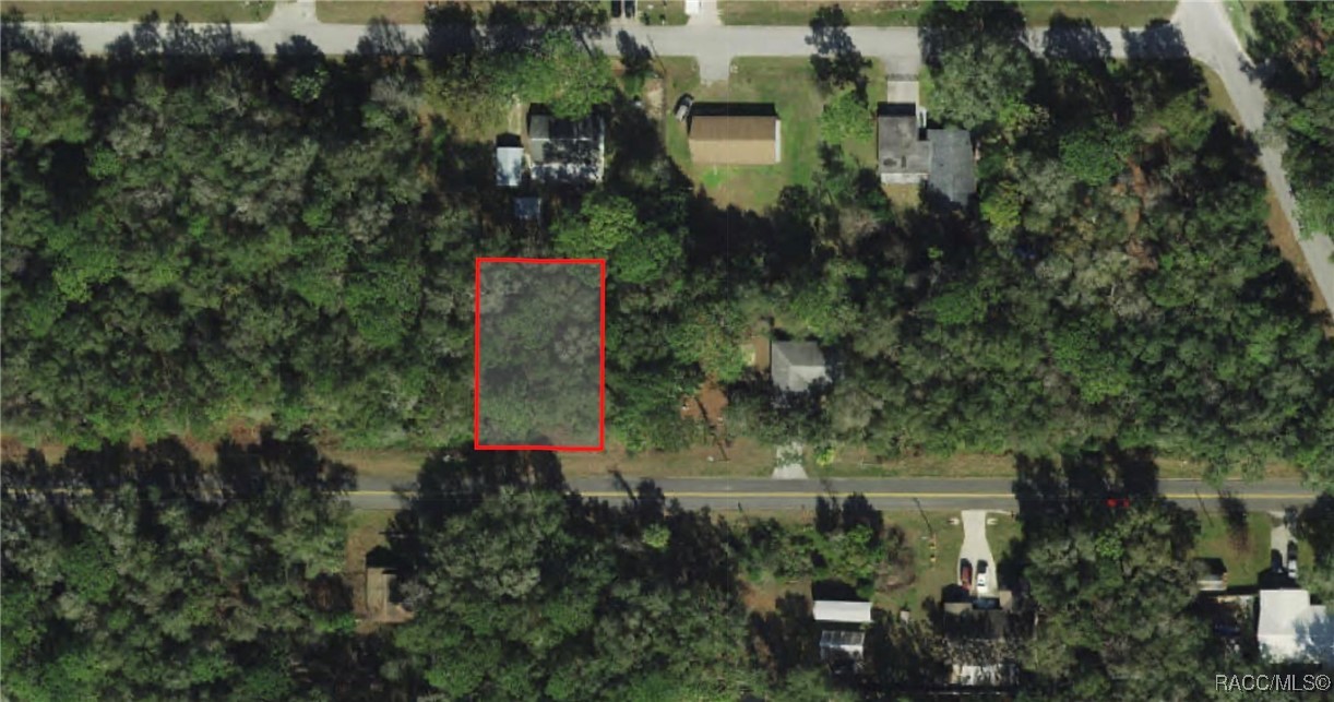 3467 E Dawson Drive, Inverness, Florida image 2