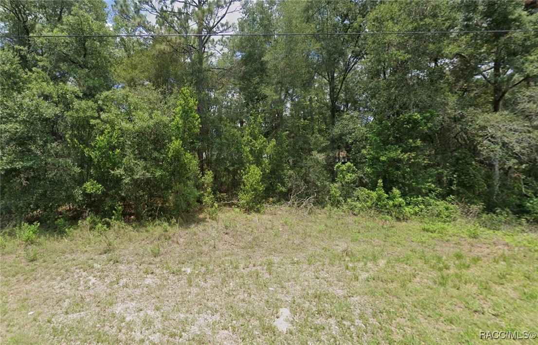 3467 E Dawson Drive, Inverness, Florida image 4