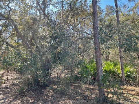 Vacant Land For Sale - 3770 Kingfisher Street<br/> Inverness, FL 34450