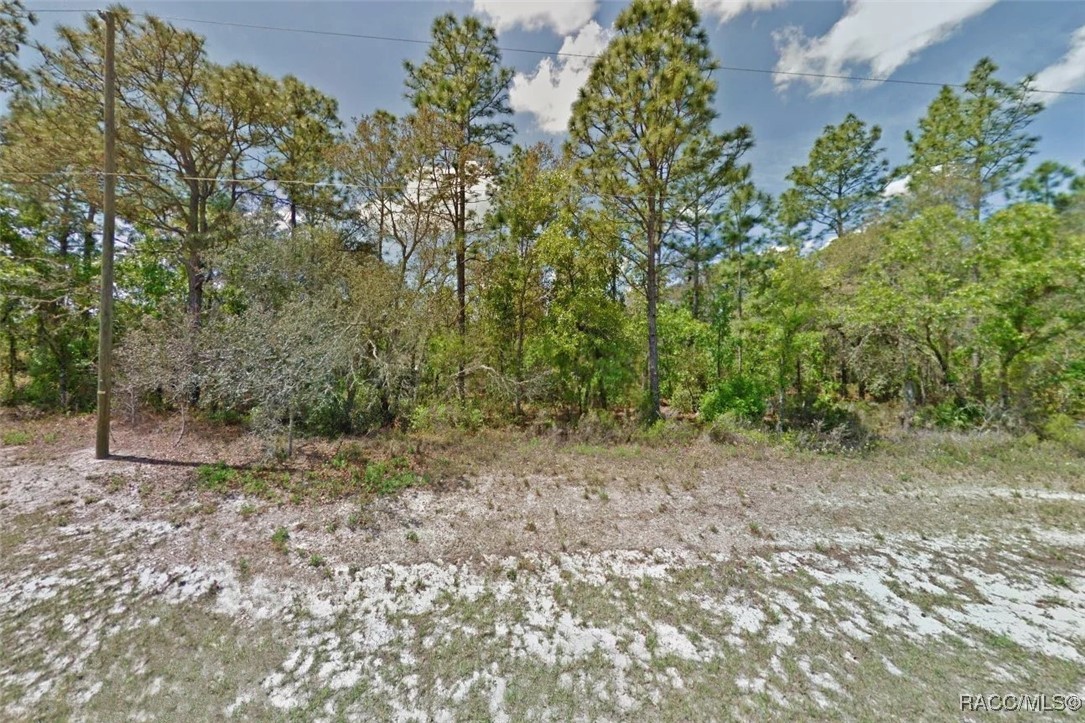 000 Marion Oaks Pass, Ocala, Florida image 1