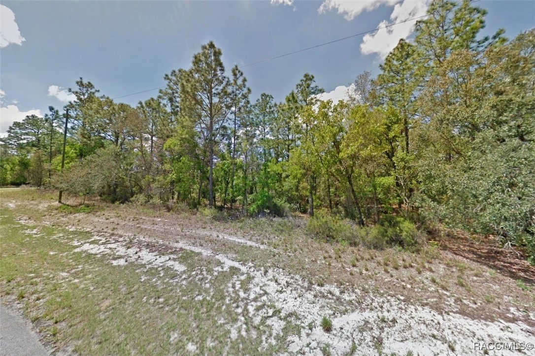 000 Marion Oaks Pass, Ocala, Florida image 2