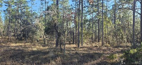 Vacant Land For Sale - LOT 13 Nw Water Oak Avenue<br/> Dunnellon, FL 34431