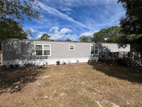 A home in Homosassa