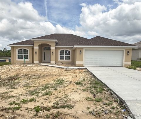 624 W Marguerita Drive Citrus Springs FL 34434