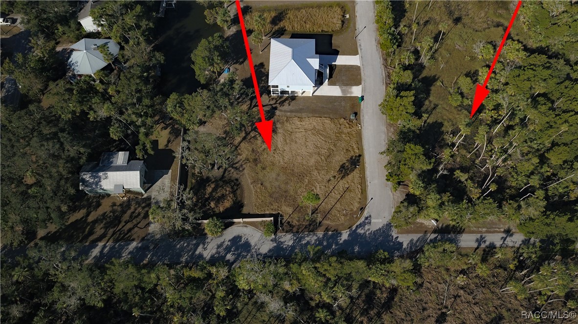 11266 W Brown Pelican Path, Crystal River, Florida image 2