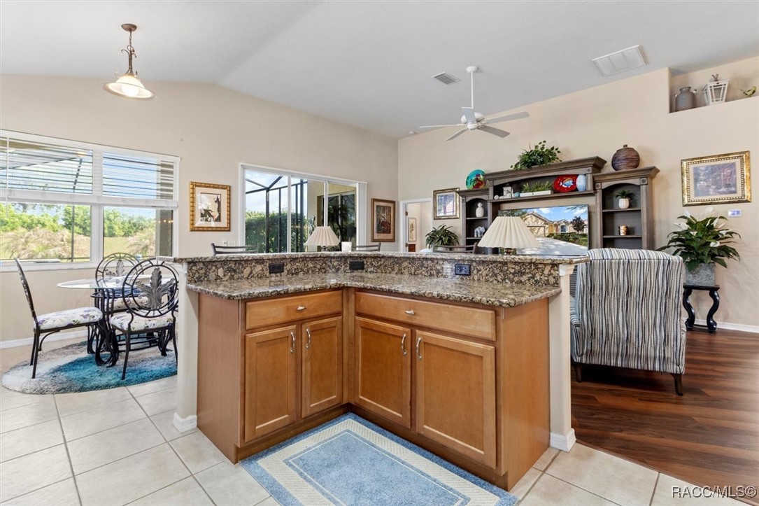 1323 W Skyview Crossing Drive, Hernando, Florida image 12