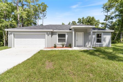 A home in Citrus Springs