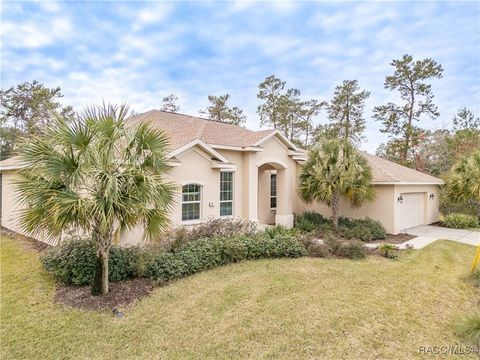 A home in Homosassa
