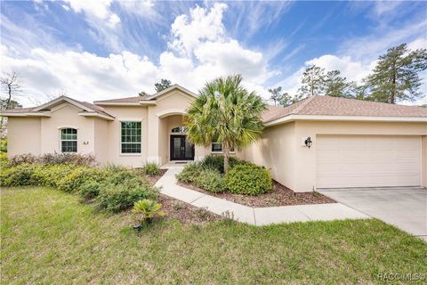A home in Homosassa