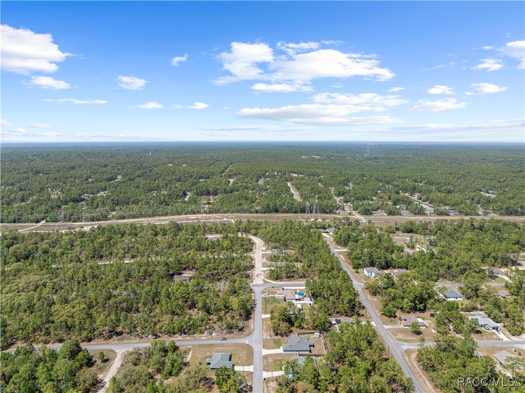 6615 N Darlington Drive, Dunnellon, New York image 48
