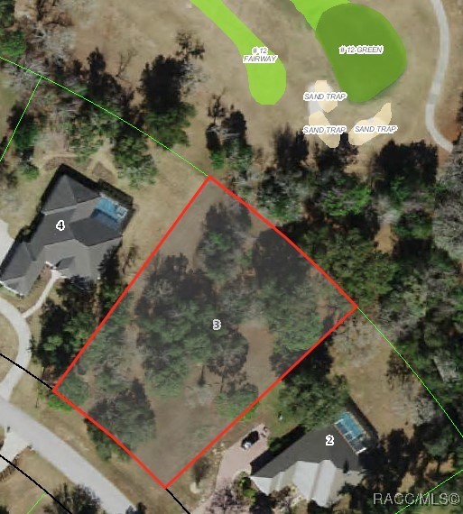 3834 W Black Diamond Circle, Lecanto, Florida image 2
