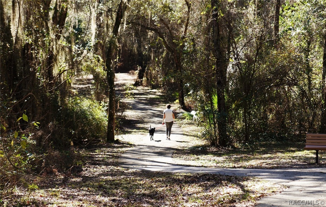 254 W Doerr Path, Hernando, Florida image 31