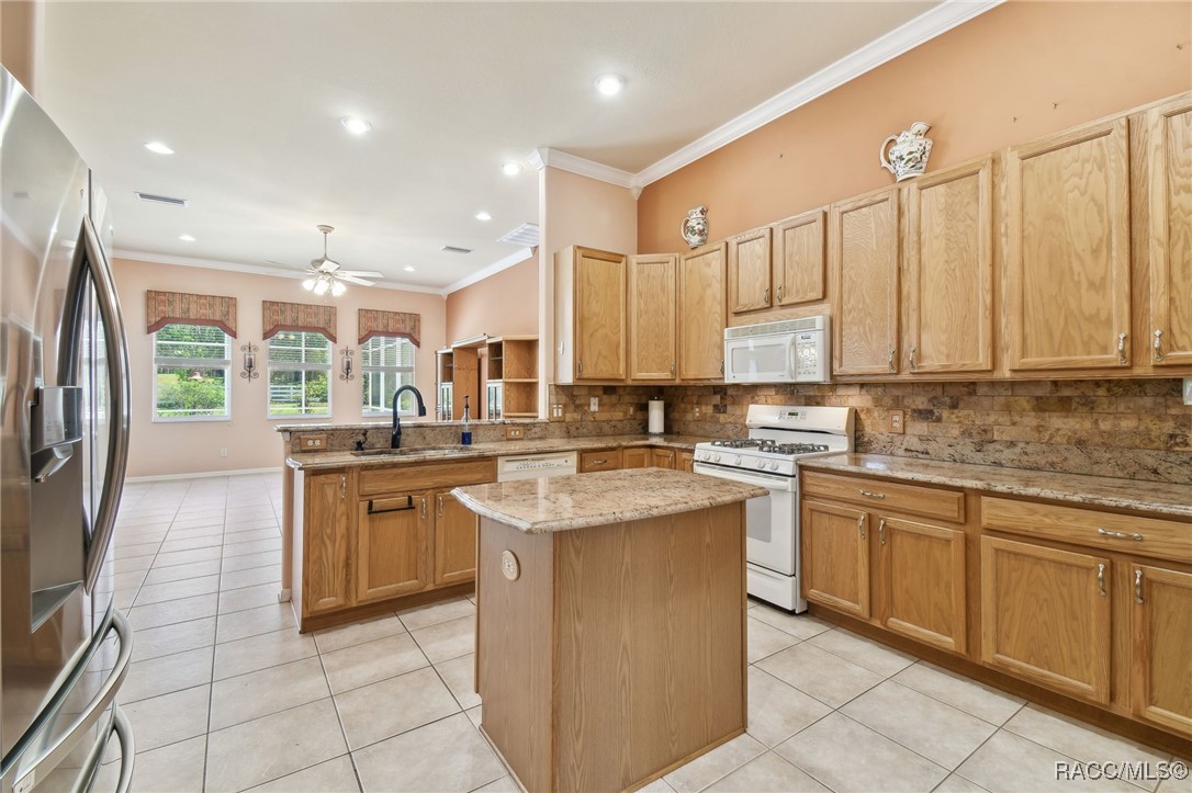 1153 E Whirl Away Circle, Inverness, Florida image 33