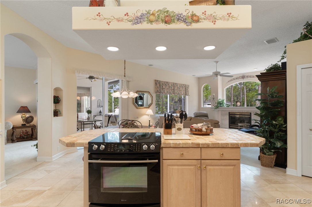27 Deerwood Drive, Homosassa, Florida image 11