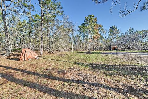 Vacant Land For Sale - 4697 W Mockingbird Street<br/> Homosassa, FL 34446
