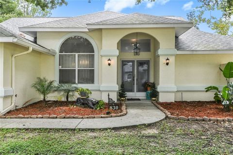 A home in Hernando