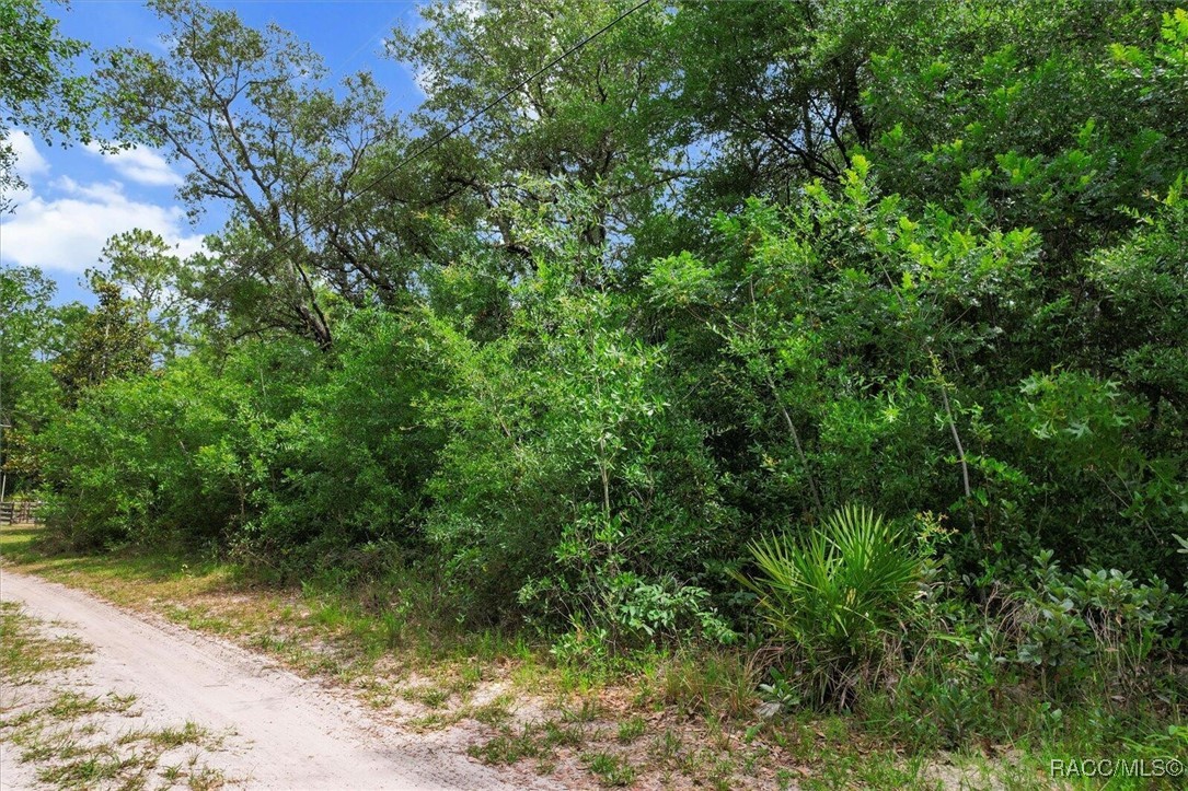 7261 W Stuart Lane, Homosassa, New York image 6