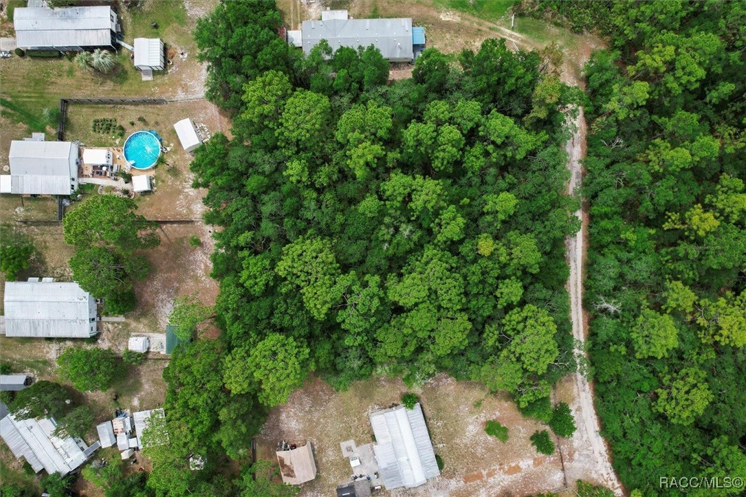 7261 W Stuart Lane, Homosassa, New York image 12