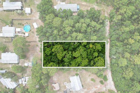 Vacant Land For Sale - 7261 W Stuart Lane<br/> Homosassa, FL 34448