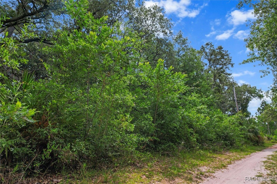 7261 W Stuart Lane, Homosassa, New York image 5