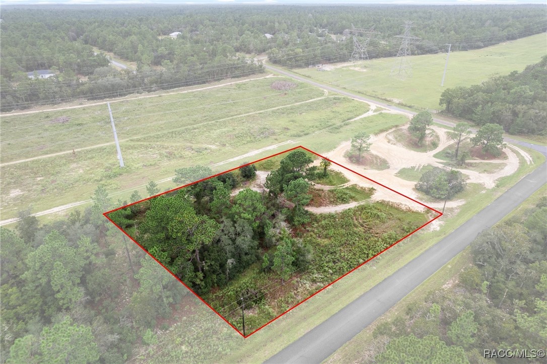 6955 N Fountainhead Drive, Citrus Springs, Florida image 5