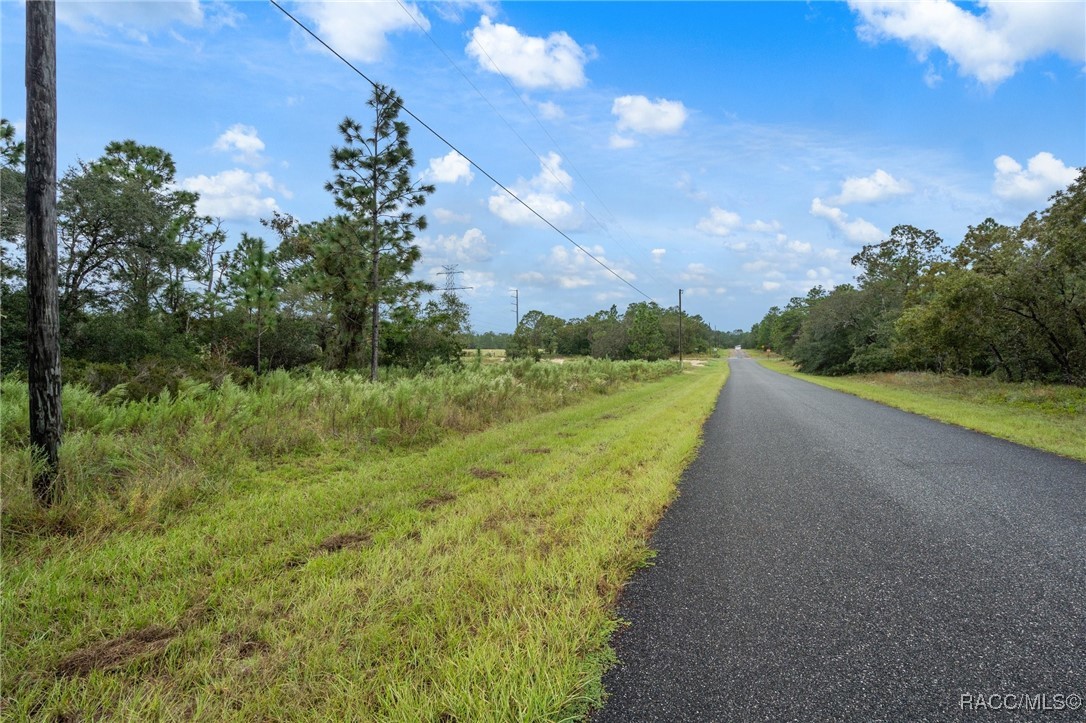 6955 N Fountainhead Drive, Citrus Springs, Florida image 1
