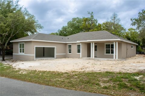 3030 W Bermuda Dunes Drive Lecanto FL 34461