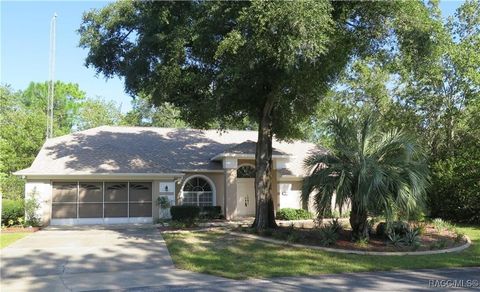 A home in Homosassa