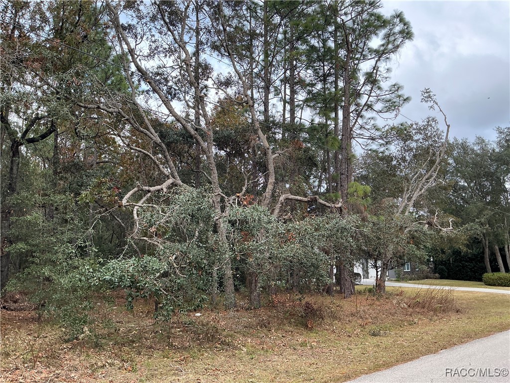 1765 W Redding Street, Hernando, Florida image 3