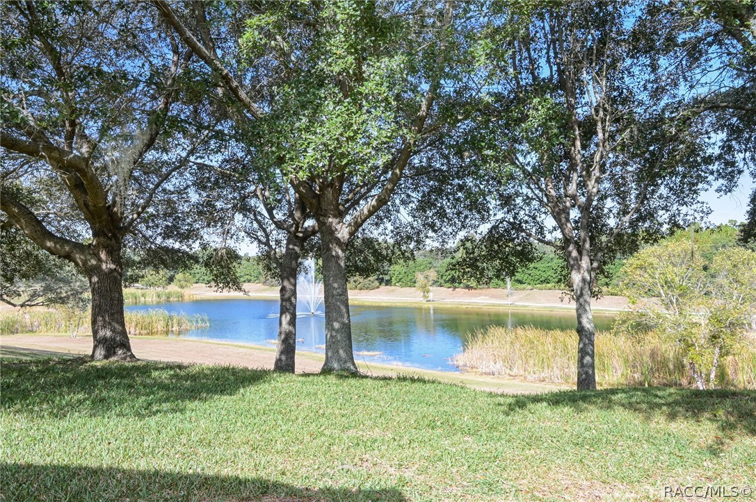 1099 Skyview Crossing Dr, Hernando, Florida image 8