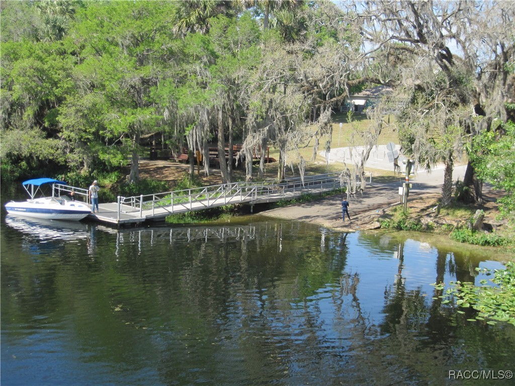 9898 N Lathyrus Terrace, Citrus Springs, Florida image 7
