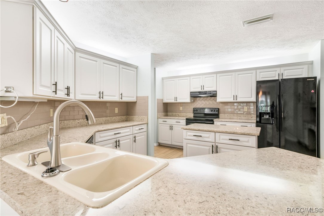 2853 W Sunrise Street, Lecanto, Florida image 2