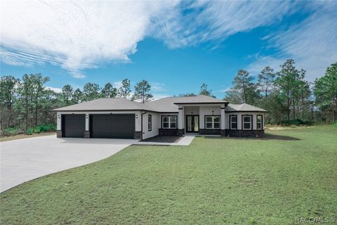 5499 N Mallows Circle Beverly Hills FL 34465