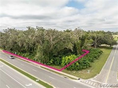 Vacant Land For Sale - 6974 Powell Road<br/> Wildwood, FL 34785