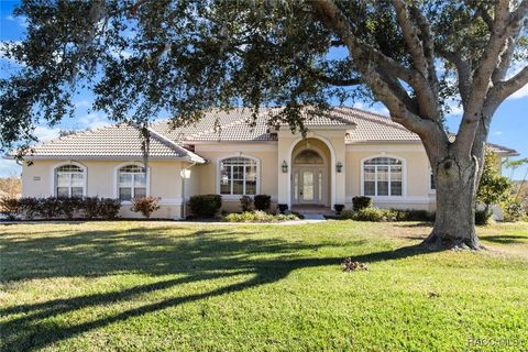 A home in Hernando