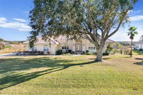 A home in Hernando