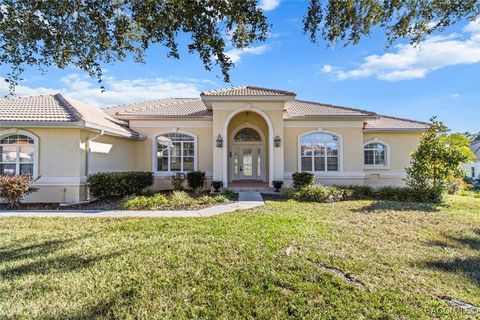 A home in Hernando