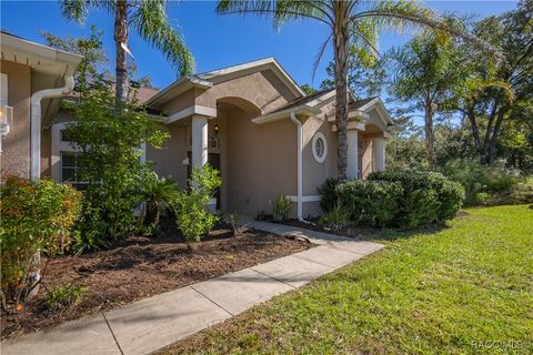 A home in Citrus Springs