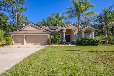 A home in Citrus Springs