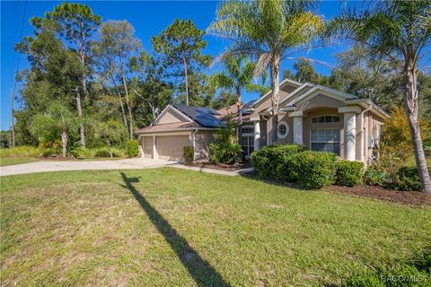 A home in Citrus Springs