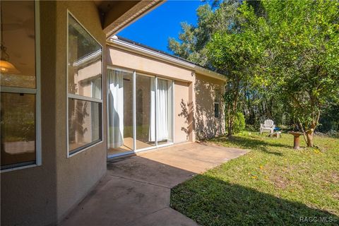 A home in Citrus Springs