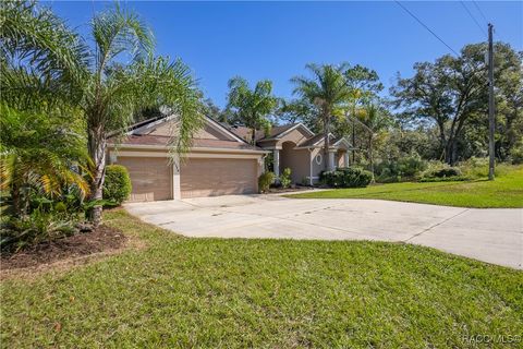 A home in Citrus Springs