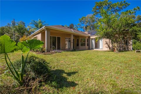 A home in Citrus Springs