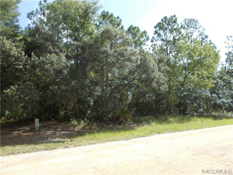Vacant Land For Sale - 4347 W Pansy Lane<br/> Beverly Hills, FL 34465