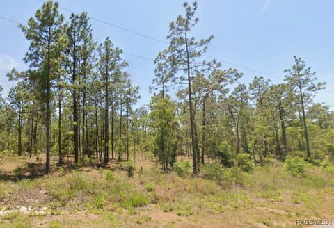 Vacant Land For Sale - NW Water Oak Ave.<br/> Dunnellon, FL 34431