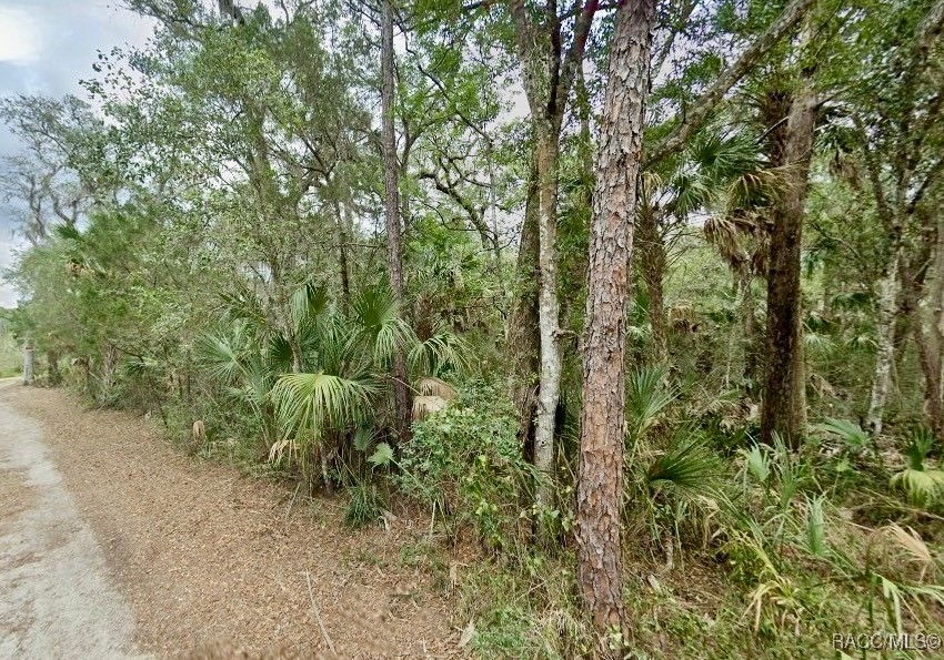6755 S Beagle Drive, Homosassa, Florida image 7