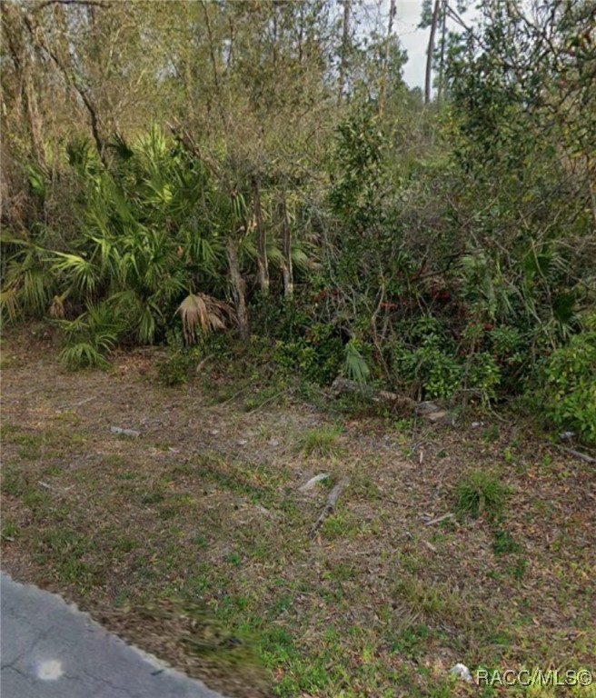 LOT 19 Lakeside Drive, Deland, New York image 3